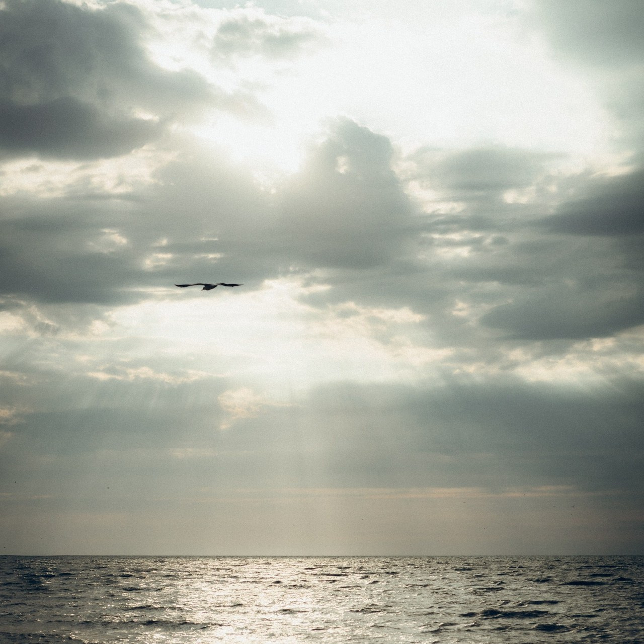 Отзывы. Семейный фотограф и фотограф на роды в Ростове-на-Дону Мухина Виктория