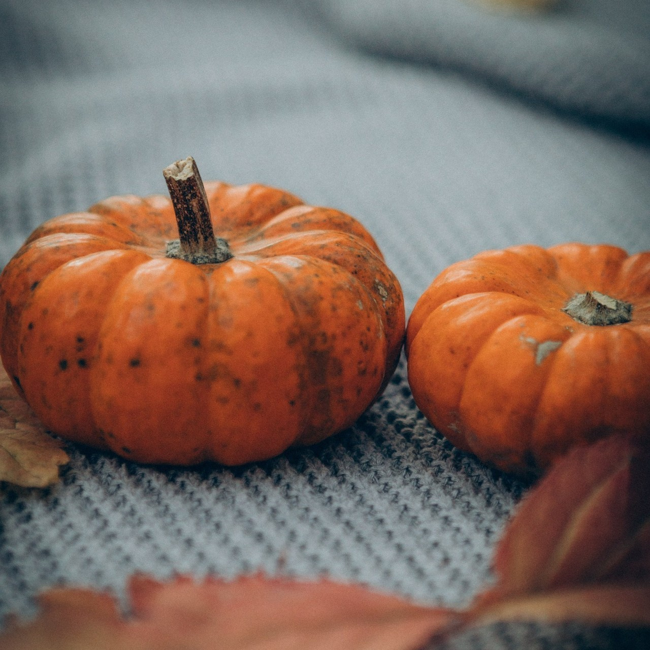Отзывы. Семейный фотограф и фотограф на роды в Ростове-на-Дону Мухина Виктория