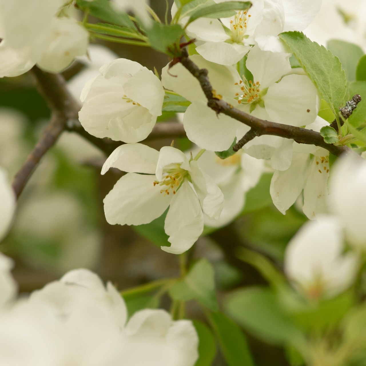 Отзывы. Профессиональный фотограф в Москве Павел Жданов