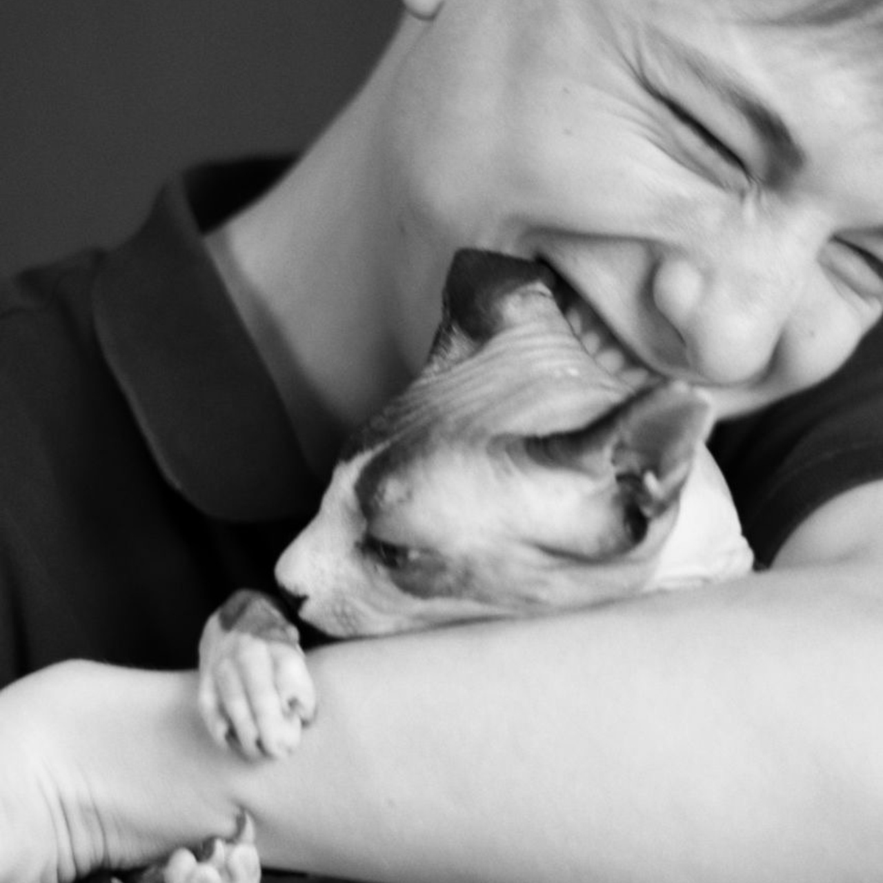 История одного кота