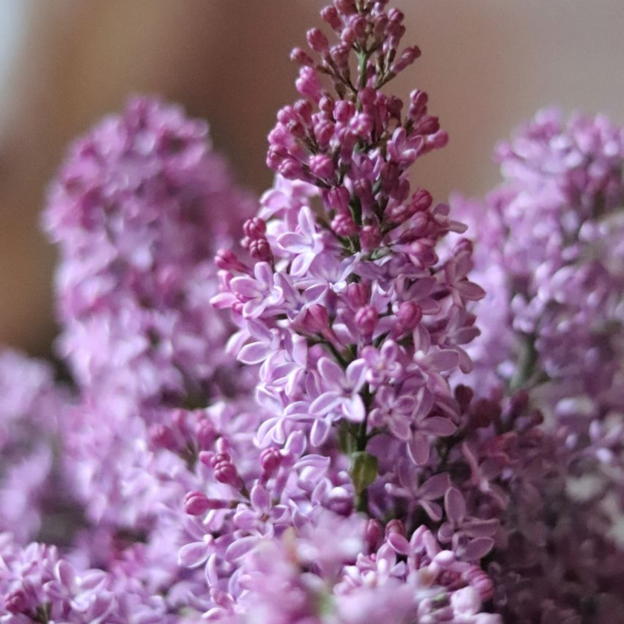 Мир в деталях