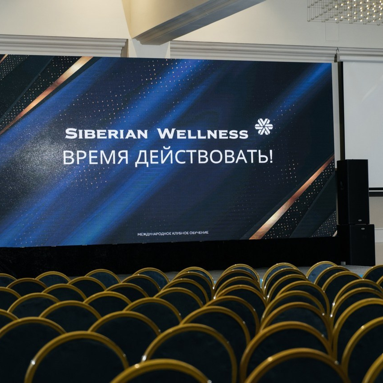 Отзывы. Свадебный фотограф алматы Шожебаев Кайрат