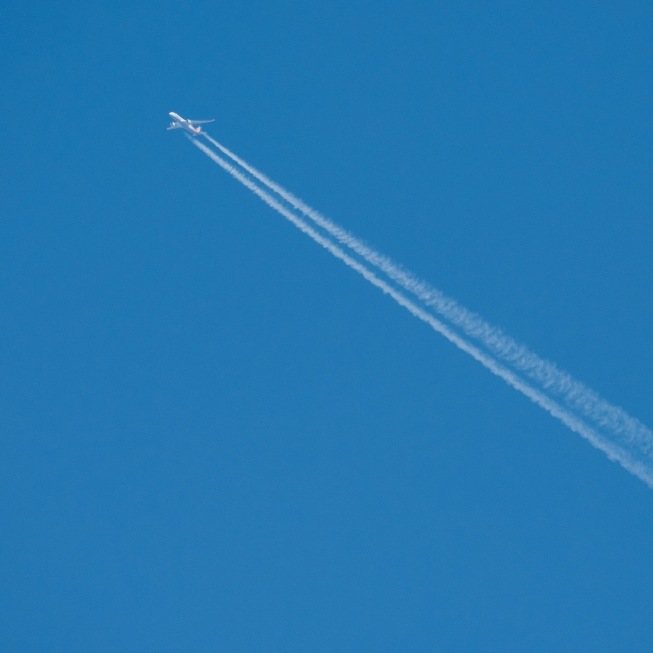 Отзывы. Свадебный фотограф Алматы — Кайрат Шожебаев | Эмоции в каждом кадре