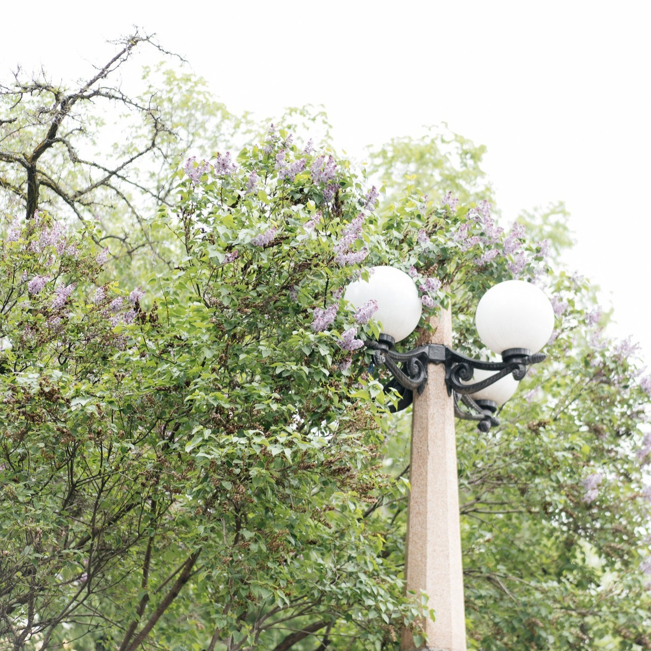 Отзывы. Свадебный фотограф алматы Шожебаев Кайрат