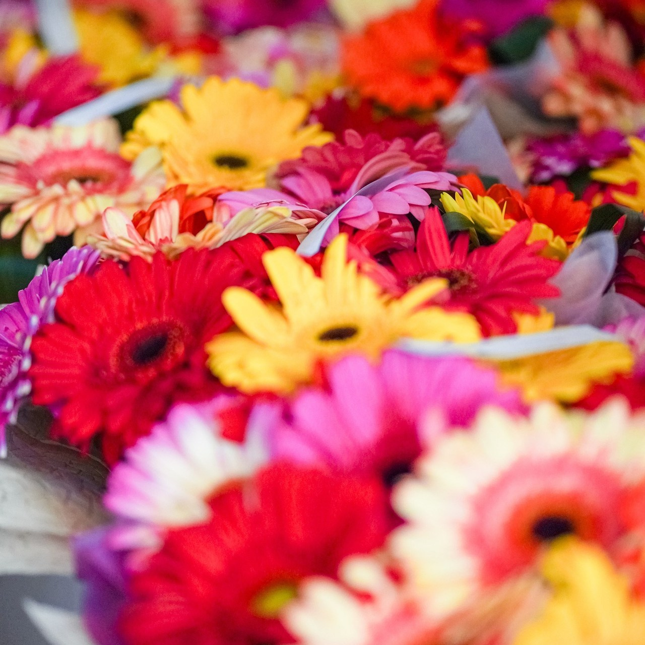 Отзывы. Школьные альбомы и альбомы для детского сада. Юлия Осипова. Москва