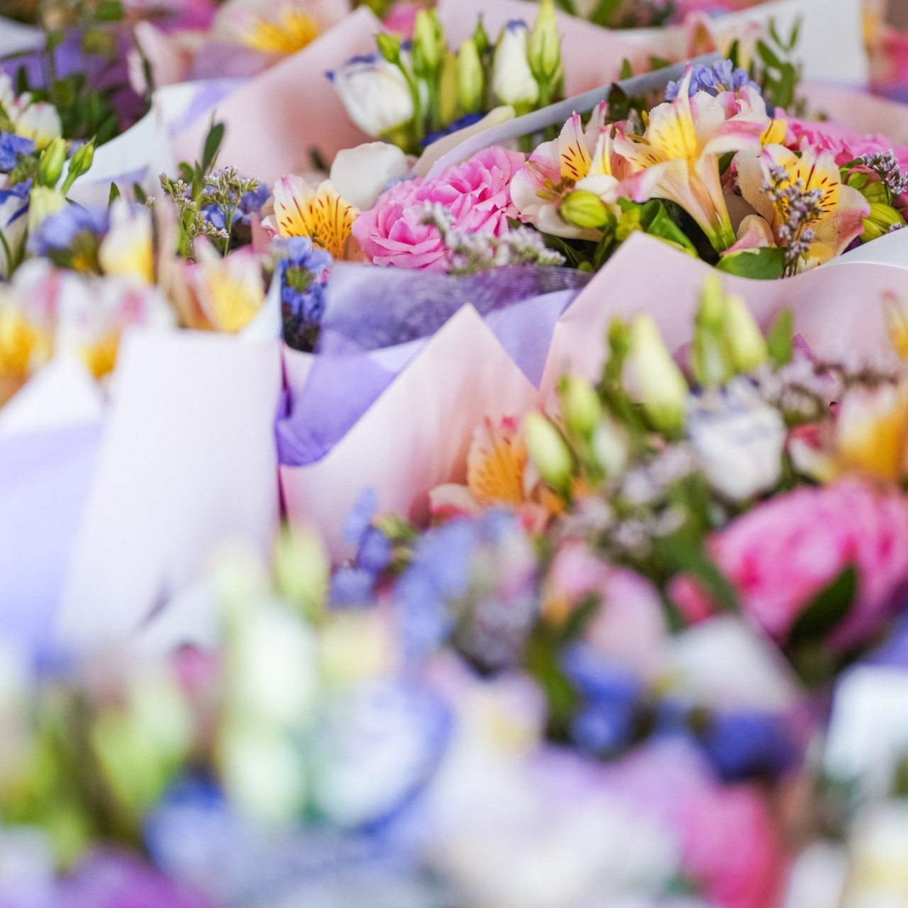 Отзывы. Школьные альбомы и альбомы для детского сада. Юлия Осипова. Москва