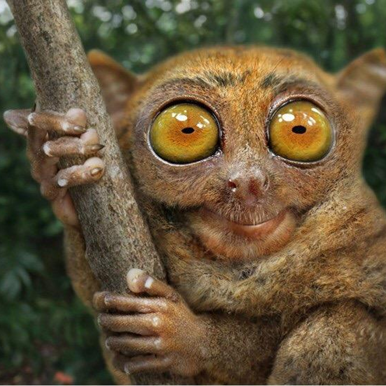 Отзывы моих клиентов. Профессиональный фотограф во Владивостоке