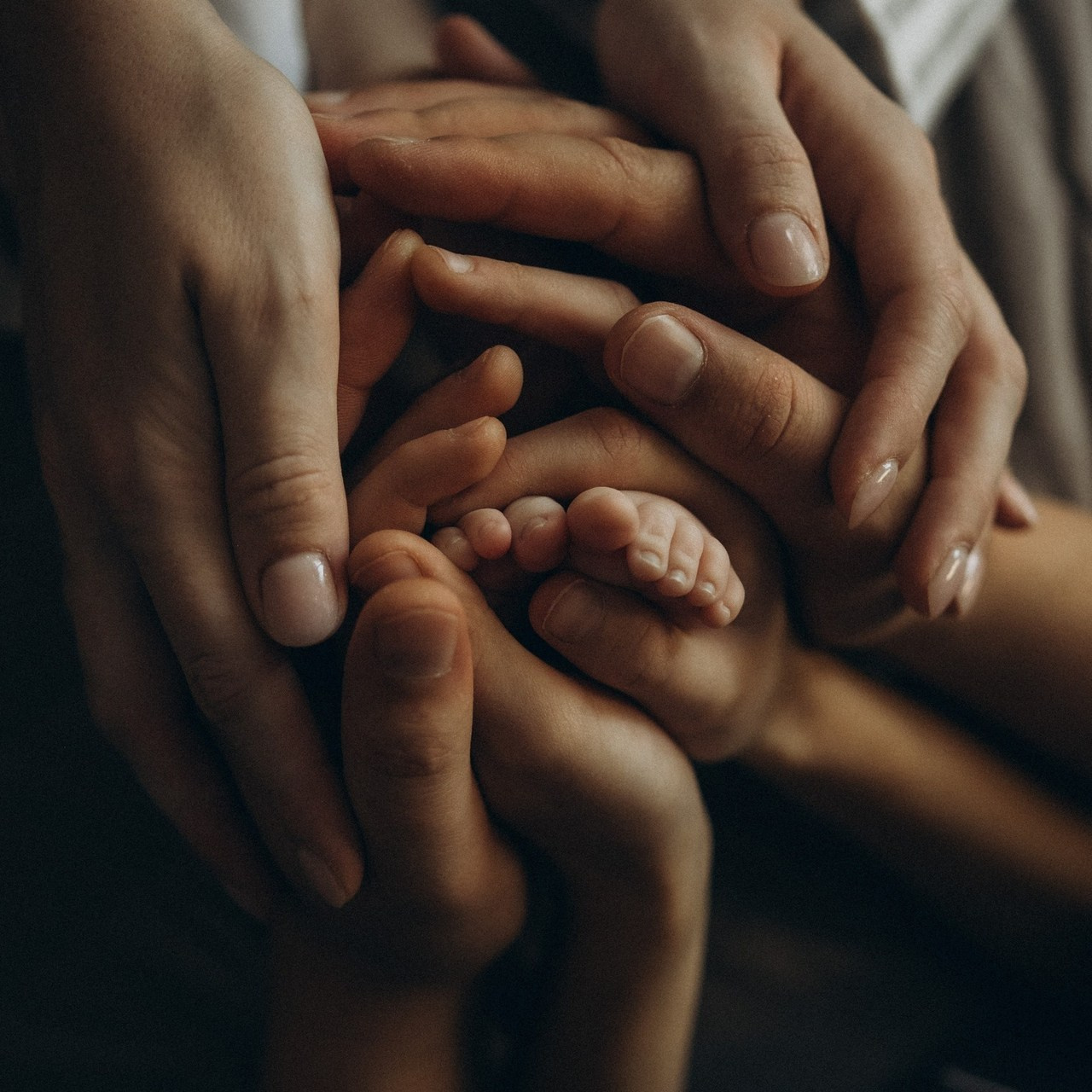 Отзывы. Семейный фотограф в Москве Екатерина Север