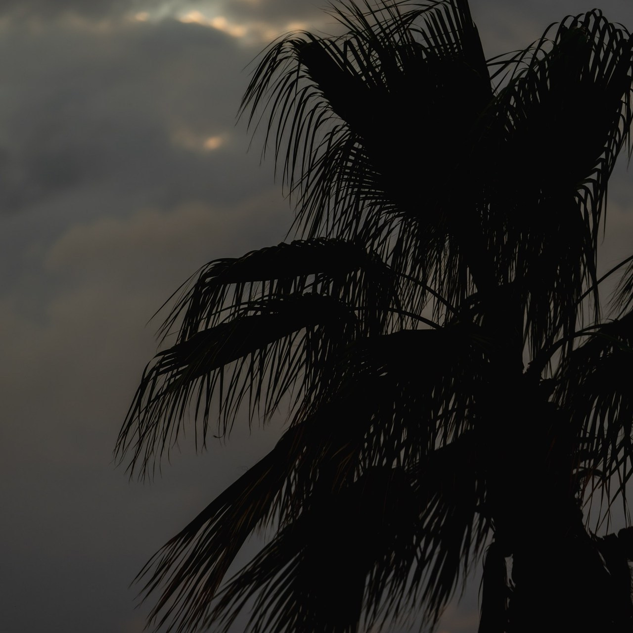 Отзывы. Свадебный фотограф в Ставрополе Катерина