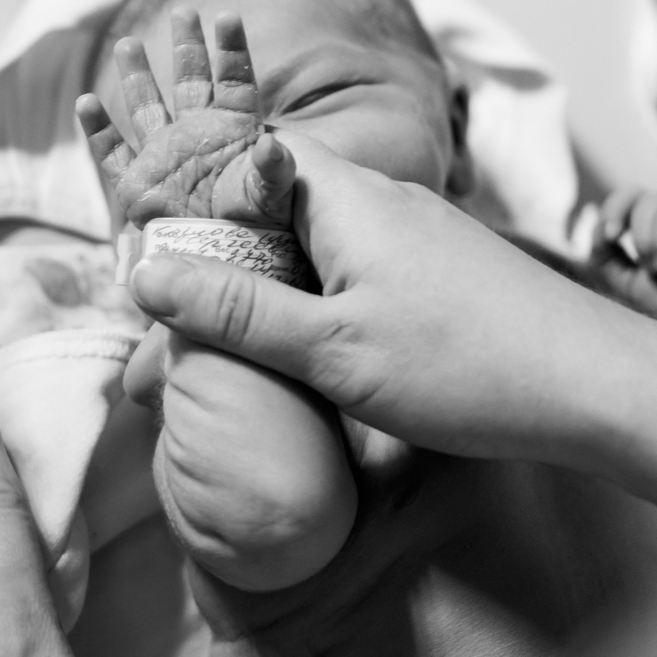 Отзывы. Свадебный фотограф в Ставрополе Катерина