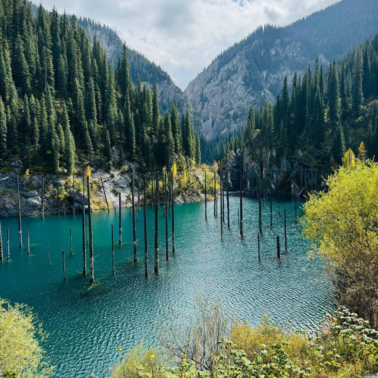 Экскурсия и тур на озеро Каинды из Алматы