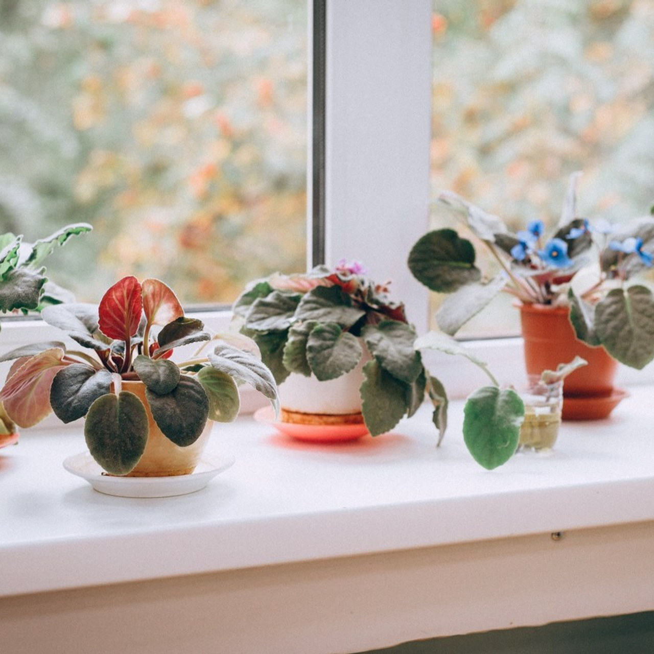 Отзывы. Дарья, фотограф, Москва