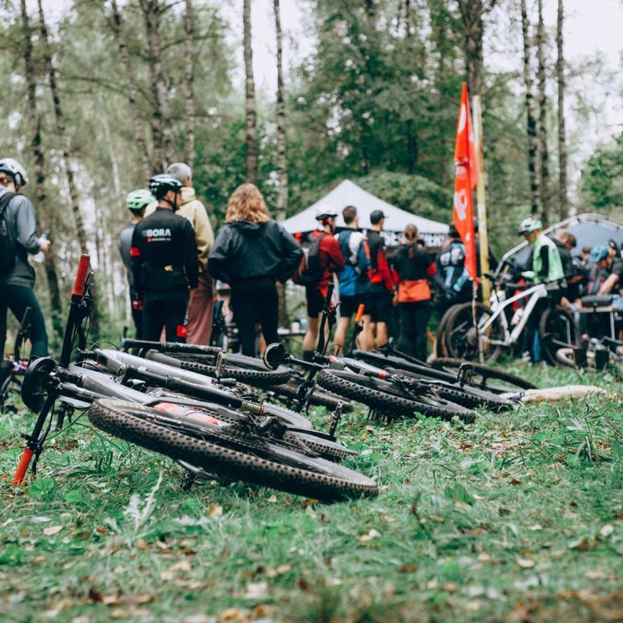 Отзывы. Дарья, фотограф, Москва