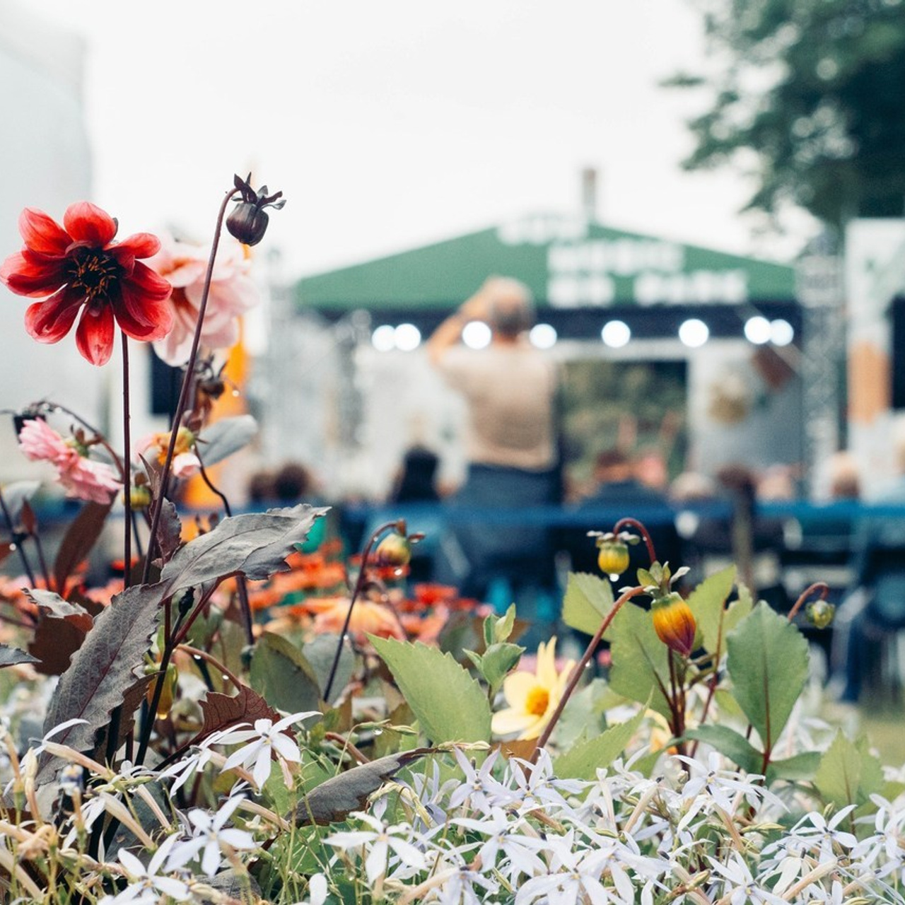 Отзывы. Ваш фотограф в Санкт-Петербурге Анна Просвирина