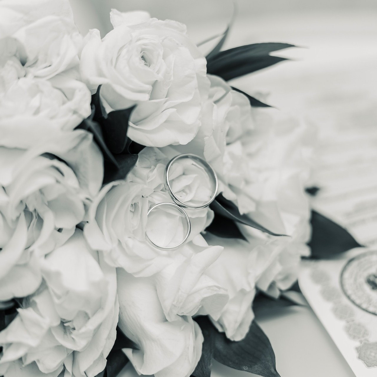 Отзывы. Семейный фотограф в р. п. Маслянино Саишева Мария