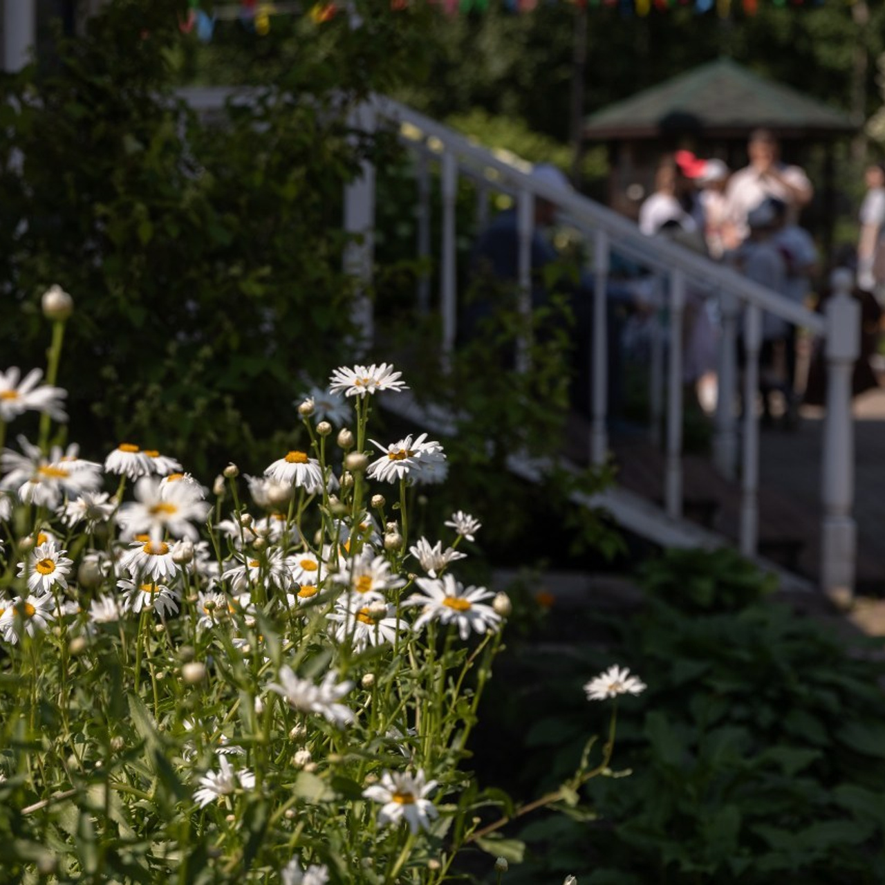 Отзывы. Семейный Фотограф Иванова Натали, Санкт-Петербург