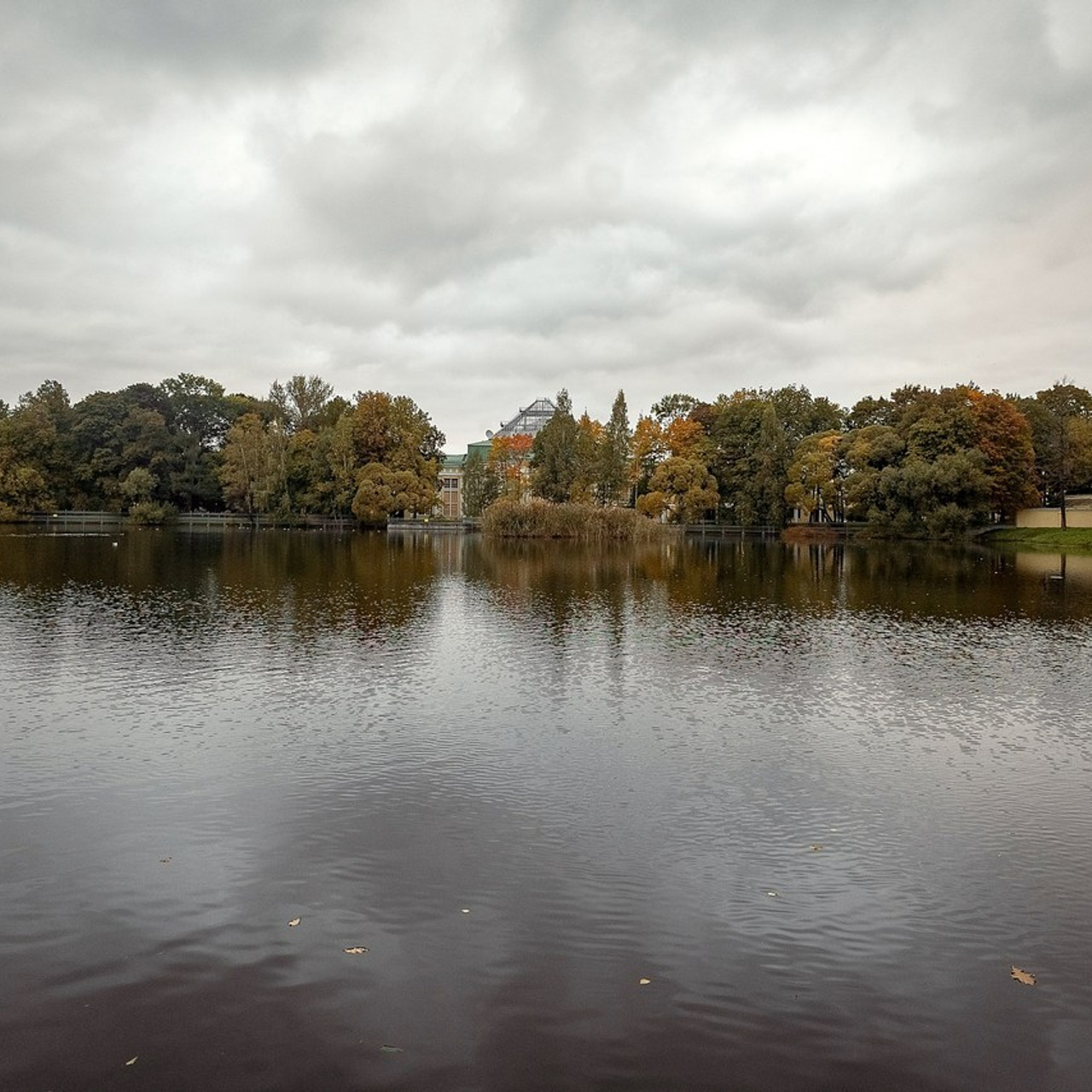 Отзывы. Семейный Фотограф Иванова Натали, Санкт-Петербург