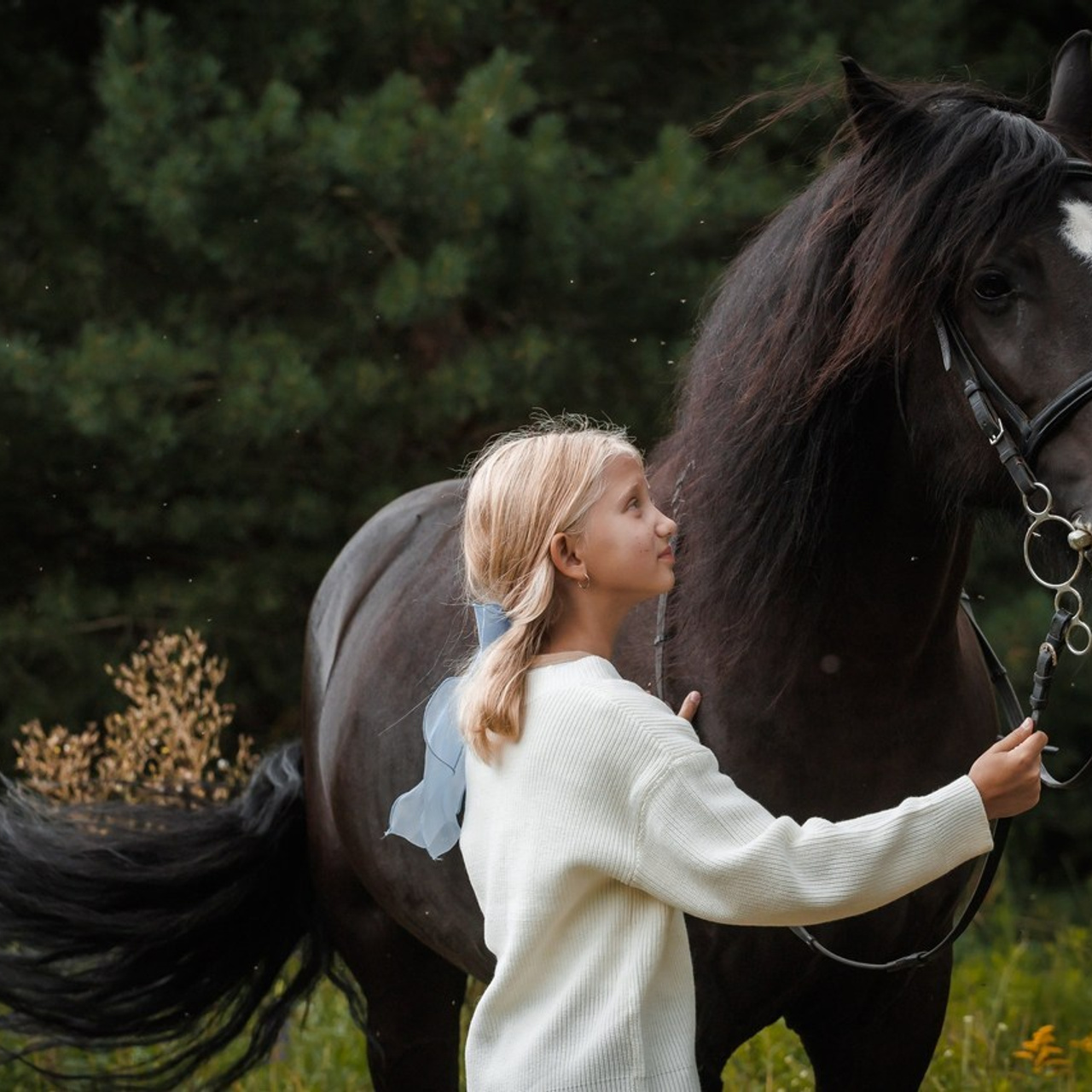 Отзывы. Фотограф для бизнеса Сергей Чирков. Город Ижевск, Удмуртия