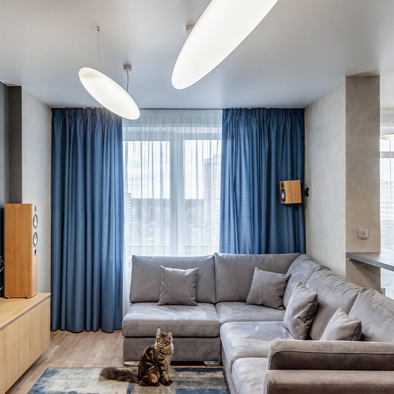 Трехкомнатная квартира с огромным котом.