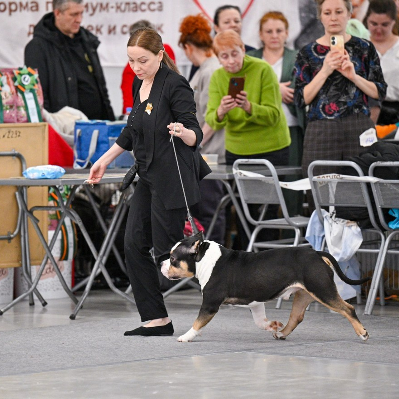 Отзывы. Фотограф — Анималист