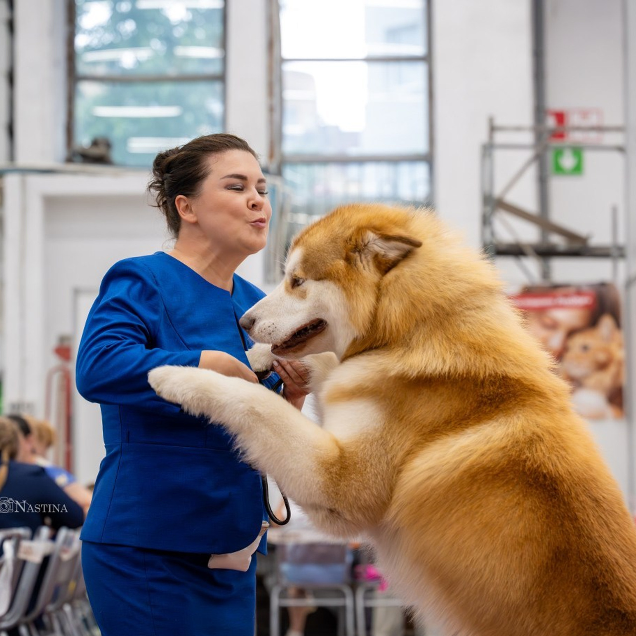 Отзывы. Фотограф — Анималист