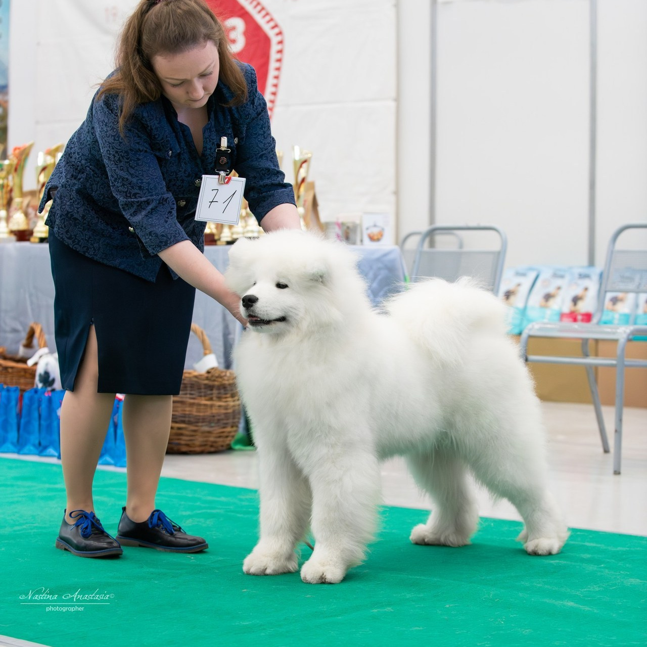 Отзывы. Фотограф — Анималист