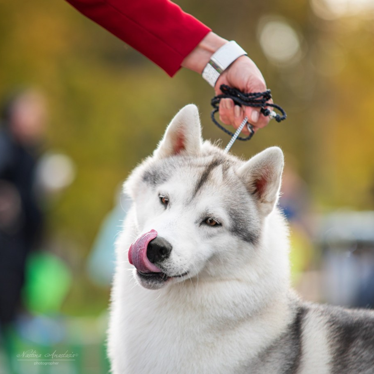 Отзывы. Фотограф — Анималист