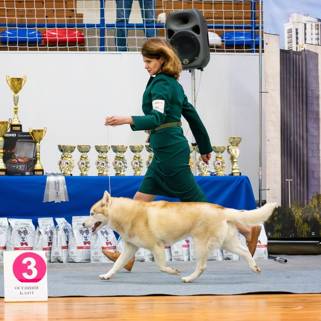 Отзывы. Фотограф — Анималист