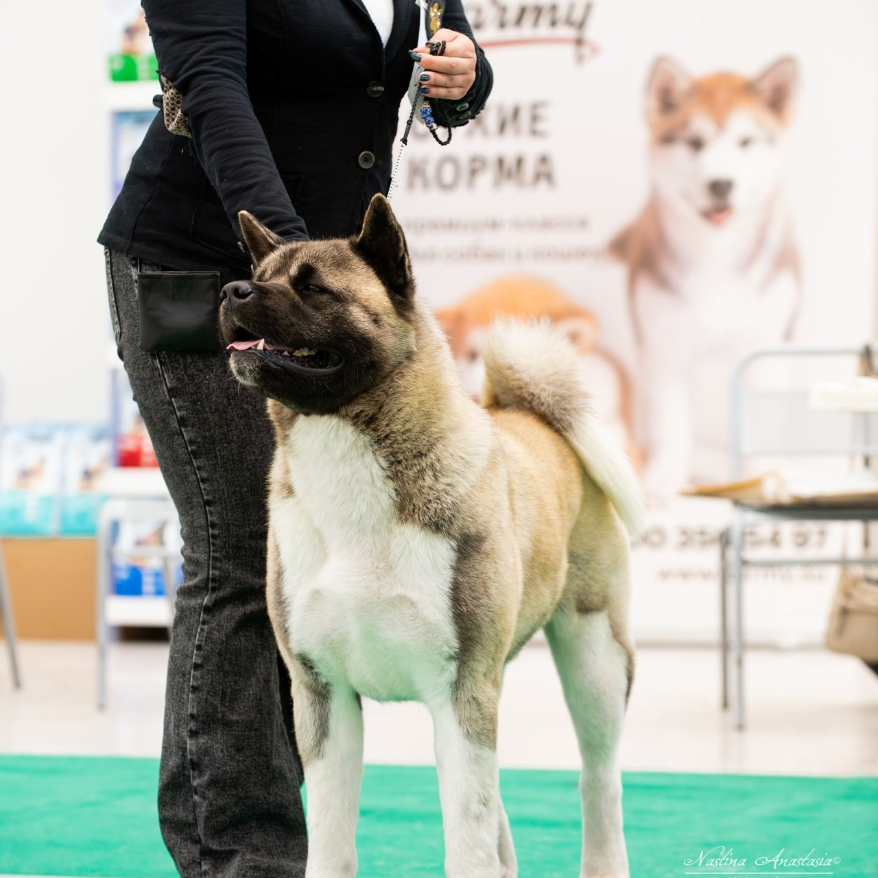 Отзывы. Фотограф — Анималист