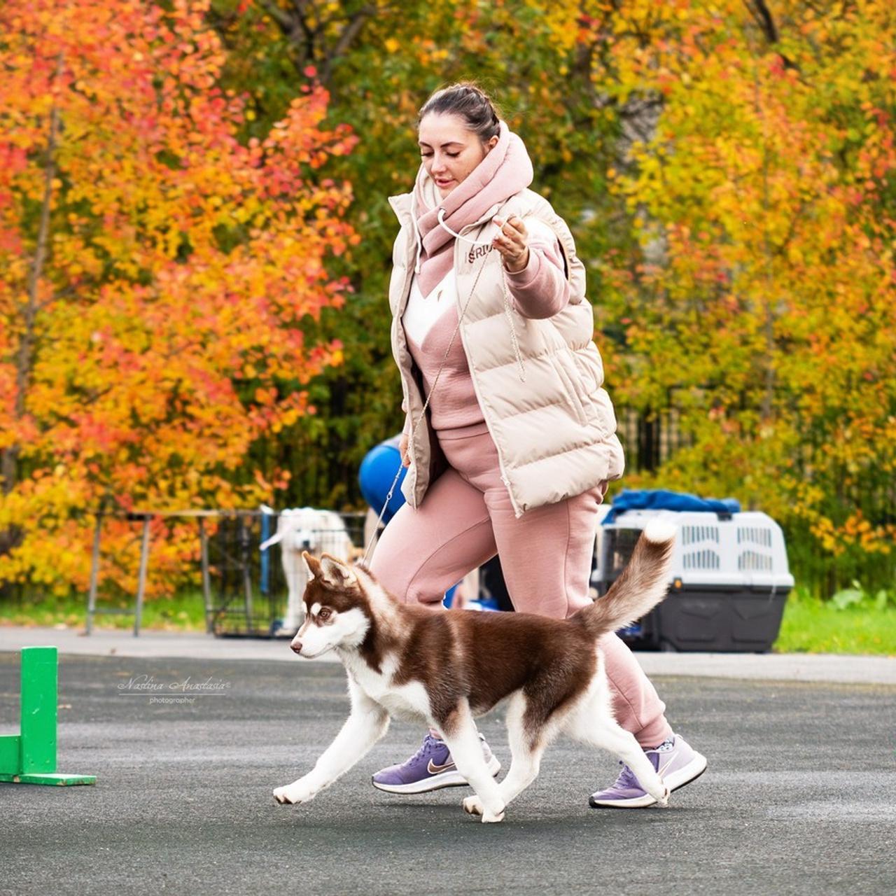 Отзывы. Фотограф — Анималист