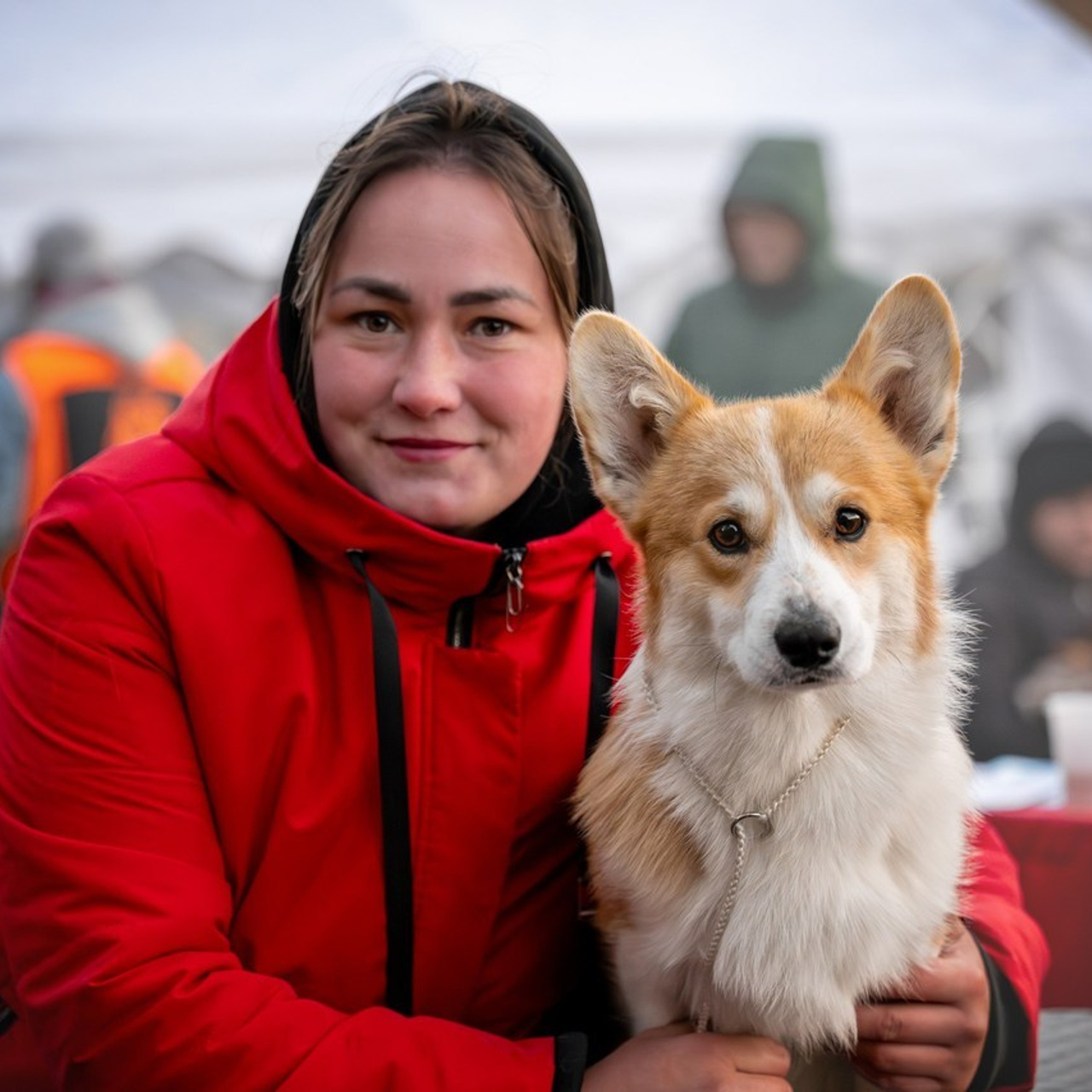 Отзывы. Фотограф — Анималист