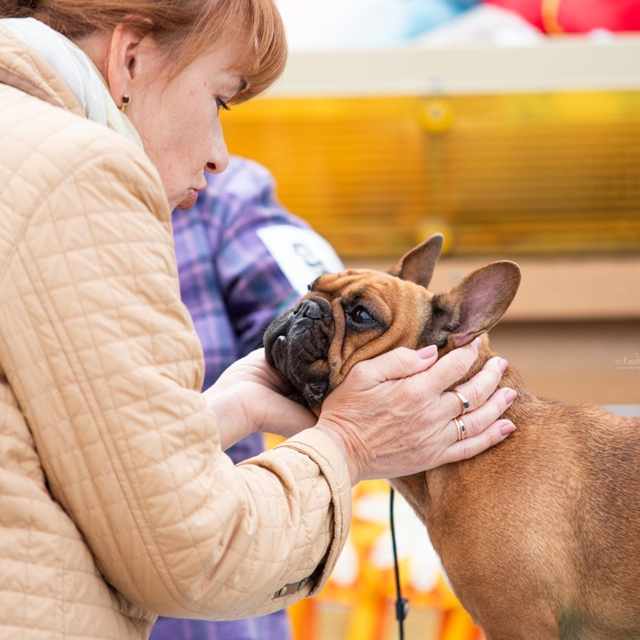 Отзывы. Фотограф — Анималист