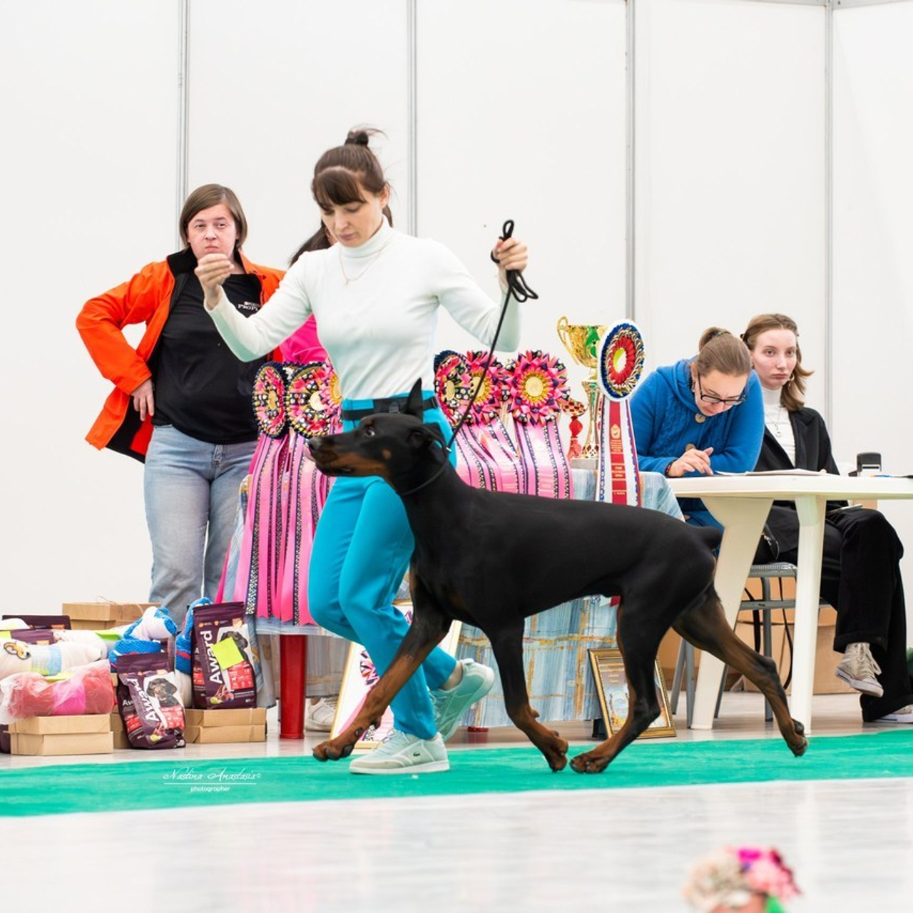 Отзывы. Фотограф — Анималист