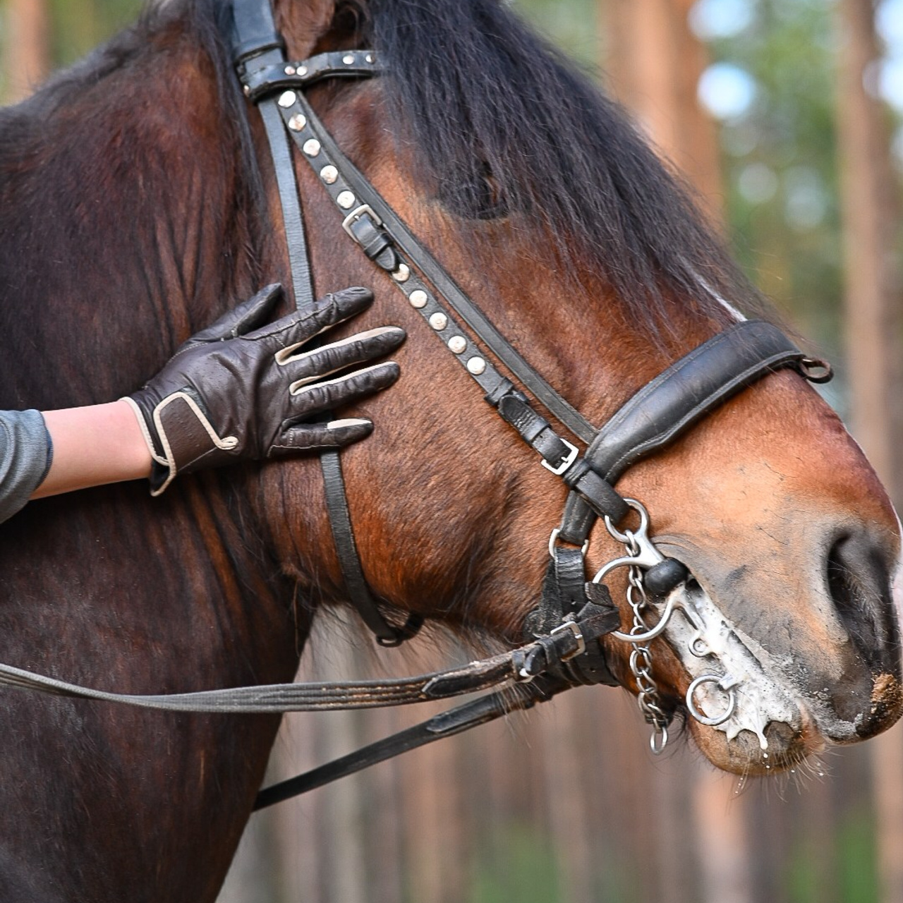 Истории. LifeStyle фотограф Анна Воробьёва Санкт-Петербург