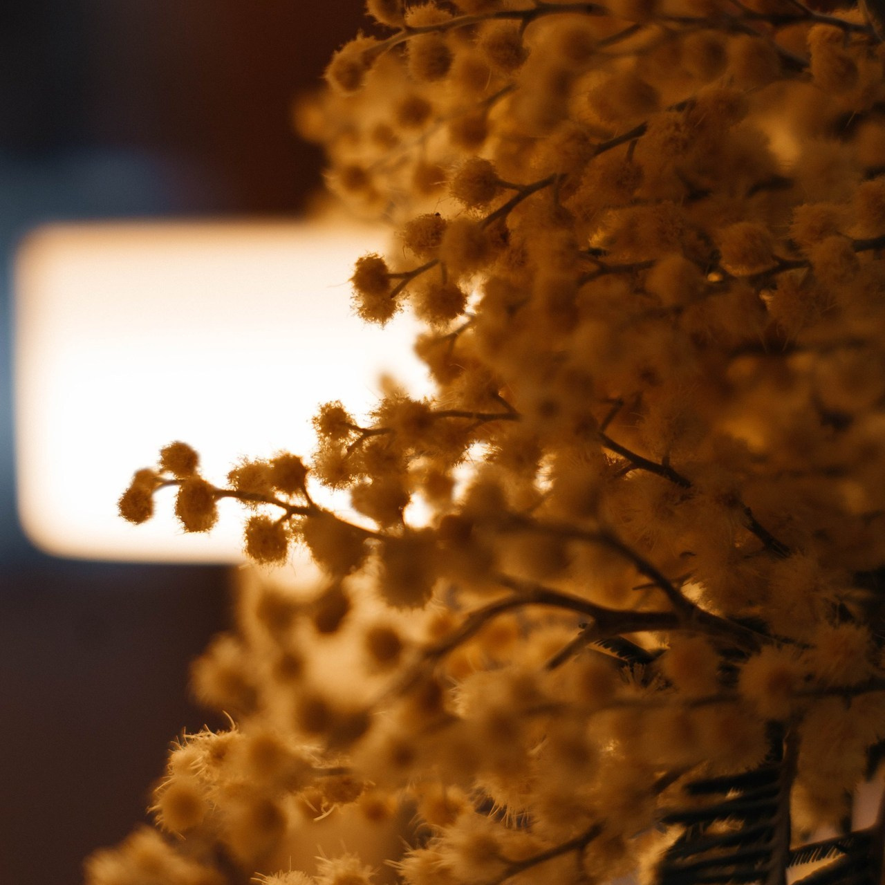 Отзывы. Свадебный и семейный фотограф в Перми Дарья Алекс