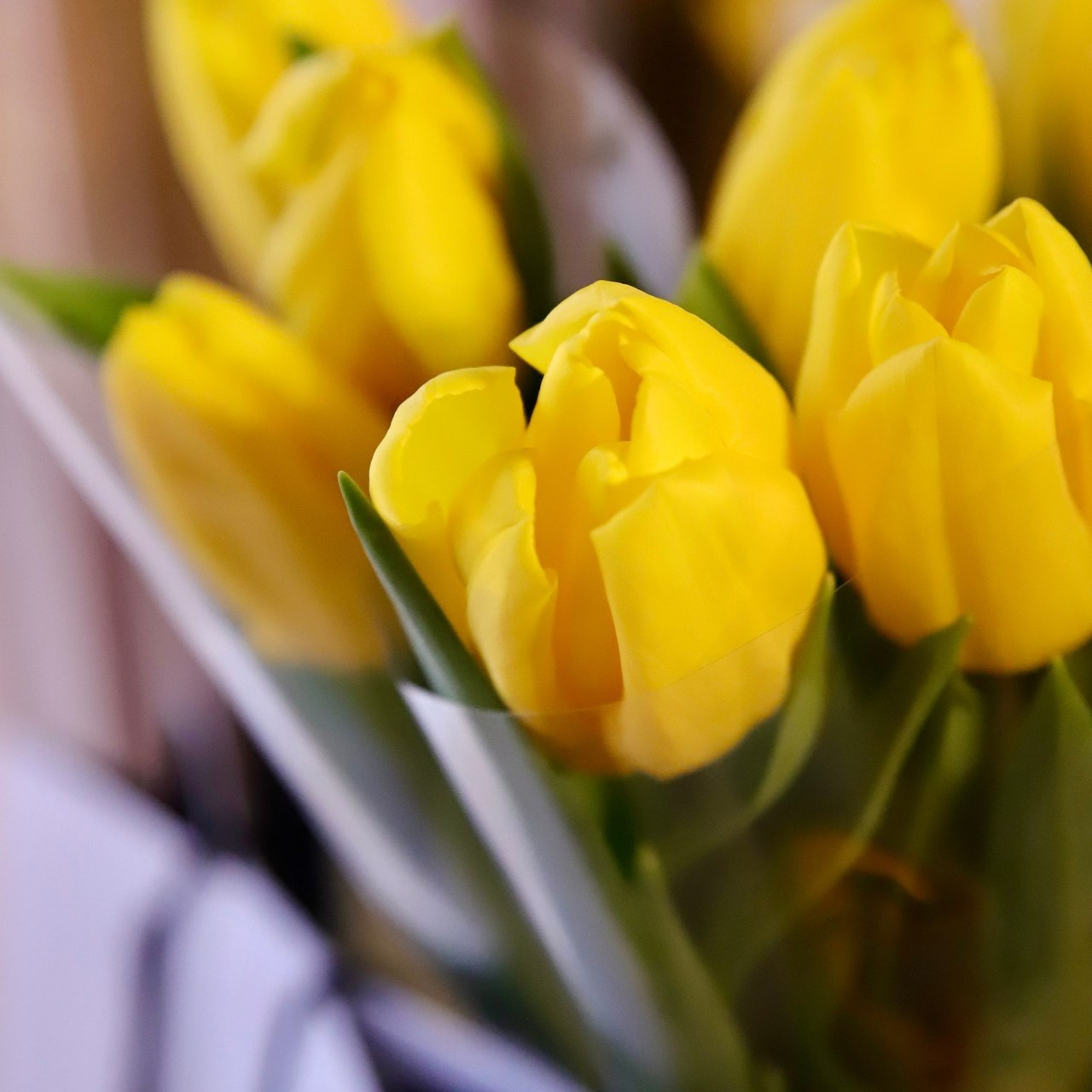 Отзывы. Портрет, репортаж, контент в Ростове-на-Дону. Маргарита Голева