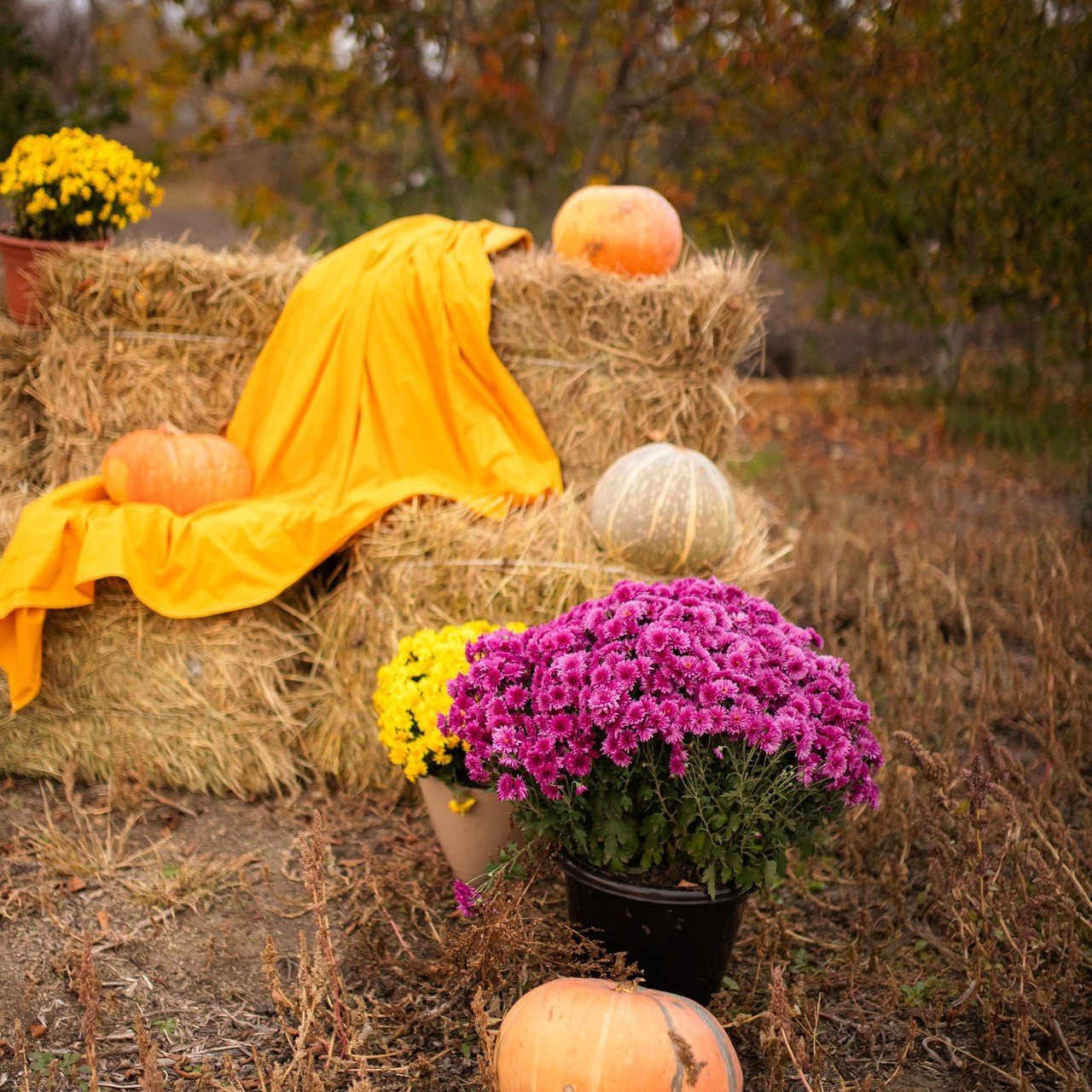 Отзывы. Photo_Prutskaya