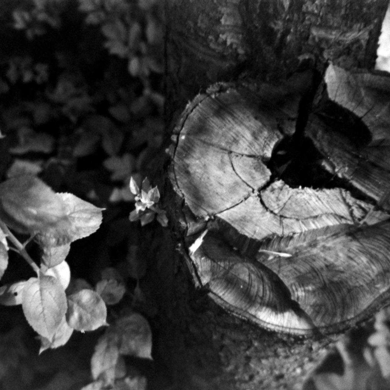 Отзывы. Фотограф в Ярославле