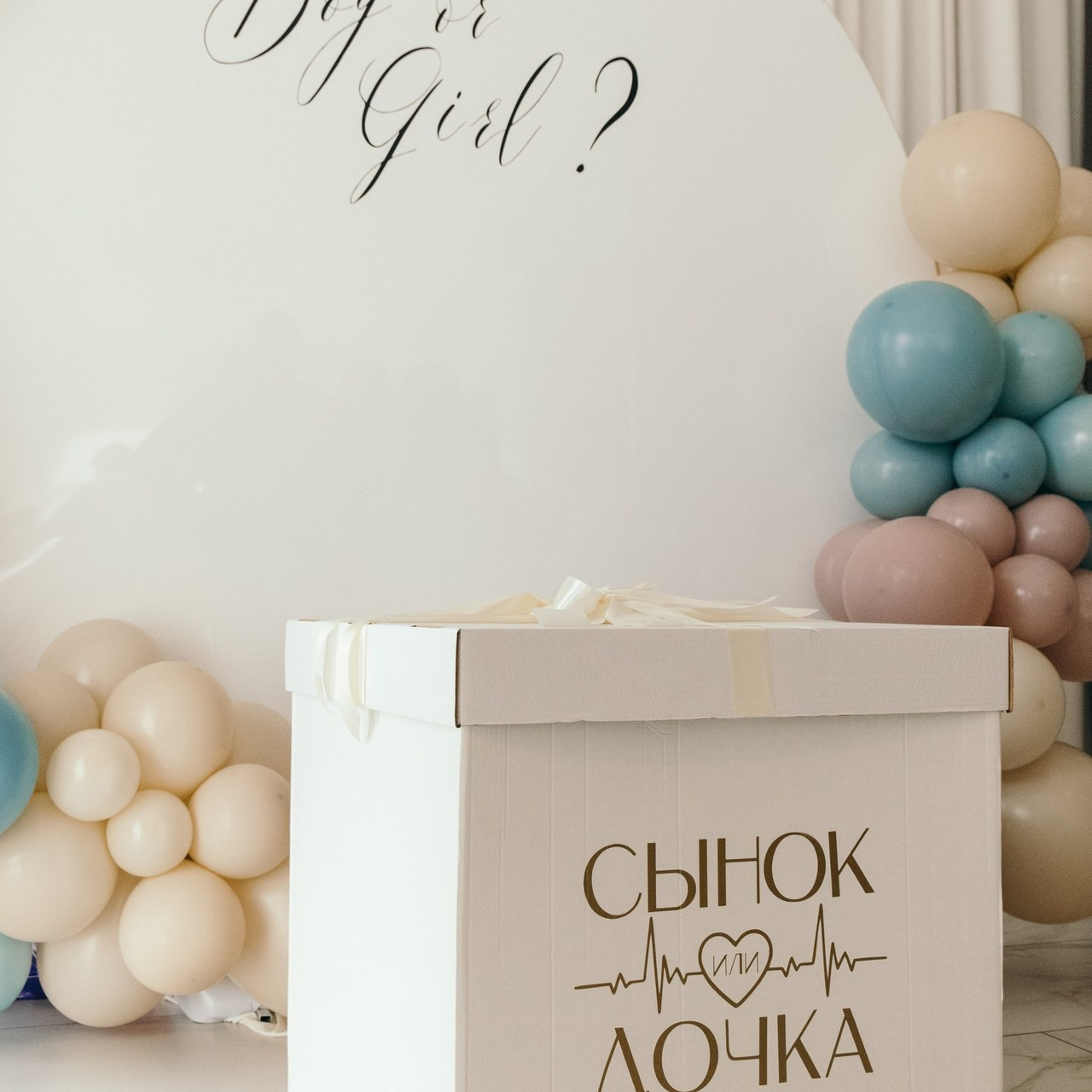 Отзывы. Фотограф Елена Балакина (Челябинск)