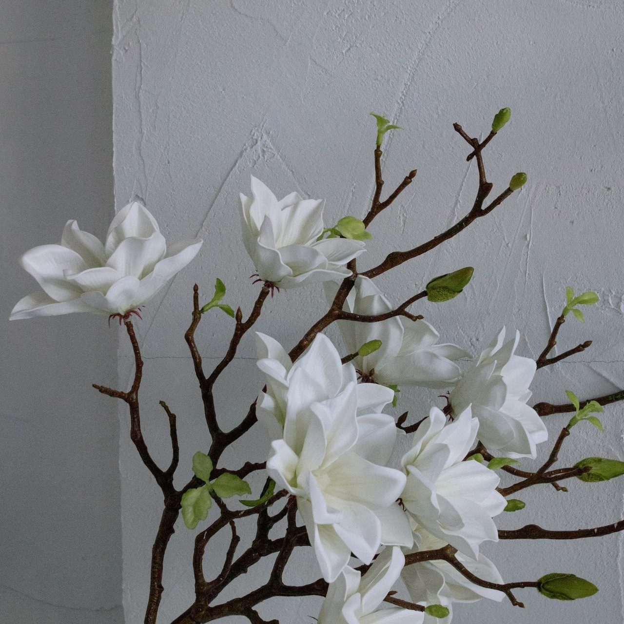 Отзывы. Фотограф Елена Балакина (Челябинск)