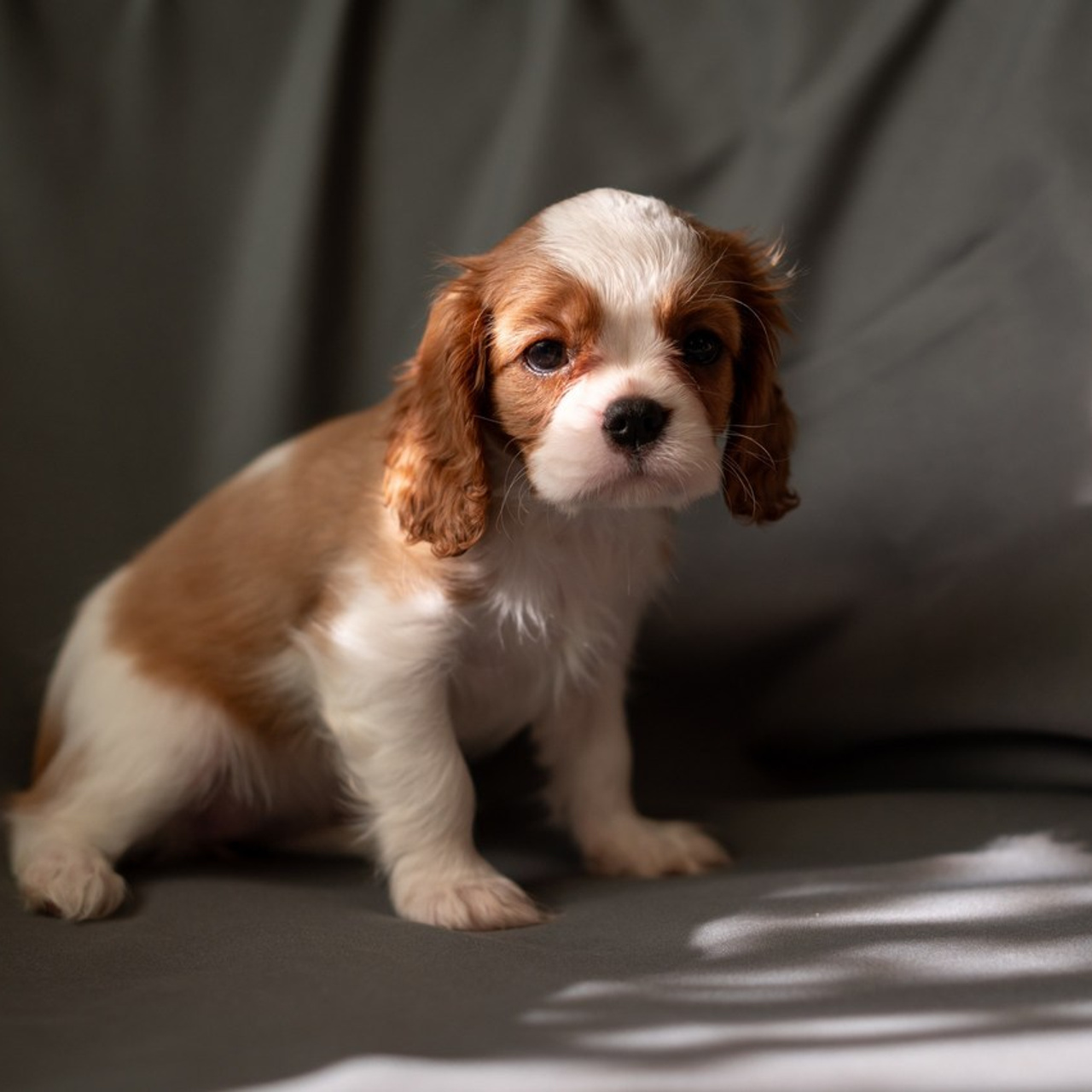 Отзывы о фотосессии