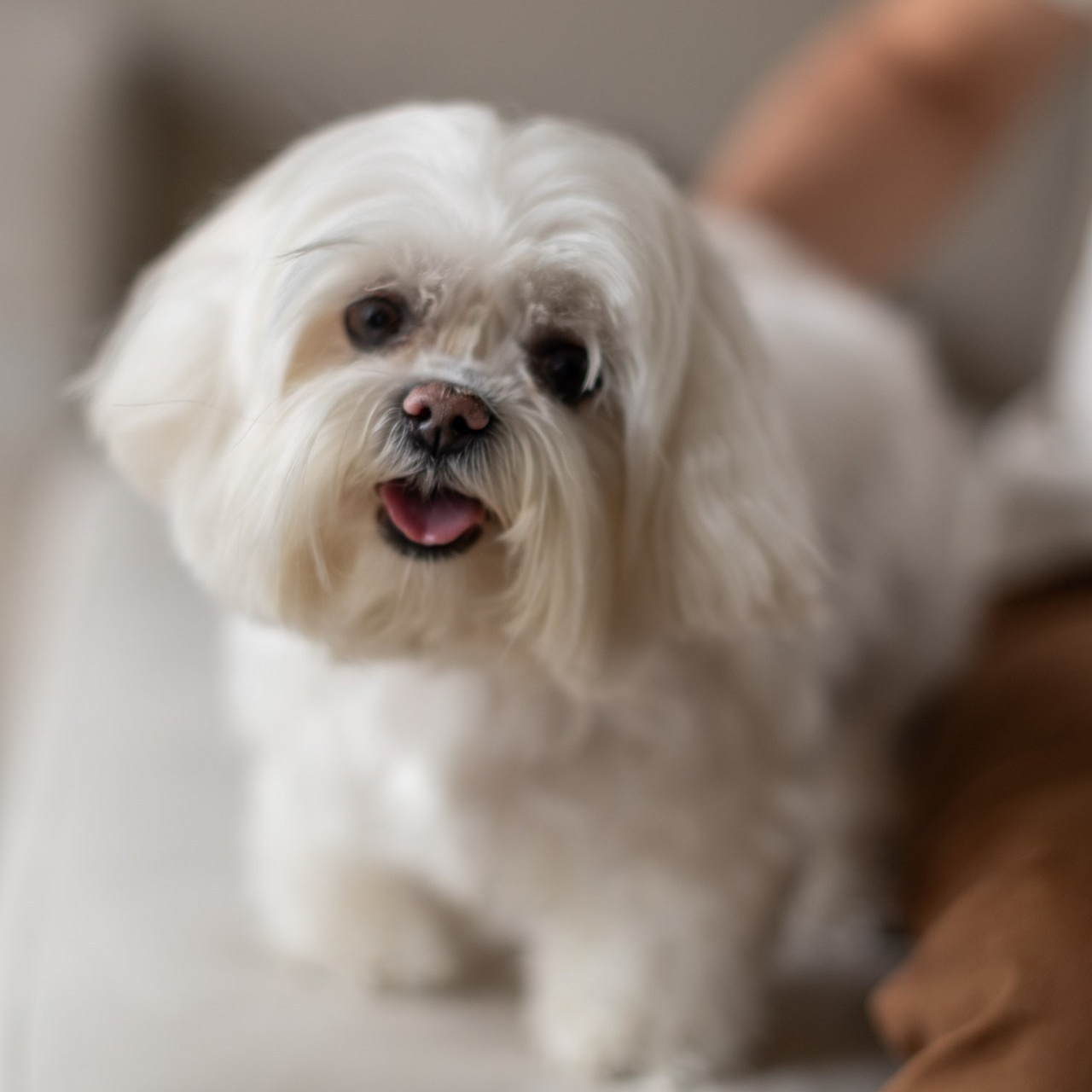 Отзывы о фотосессии