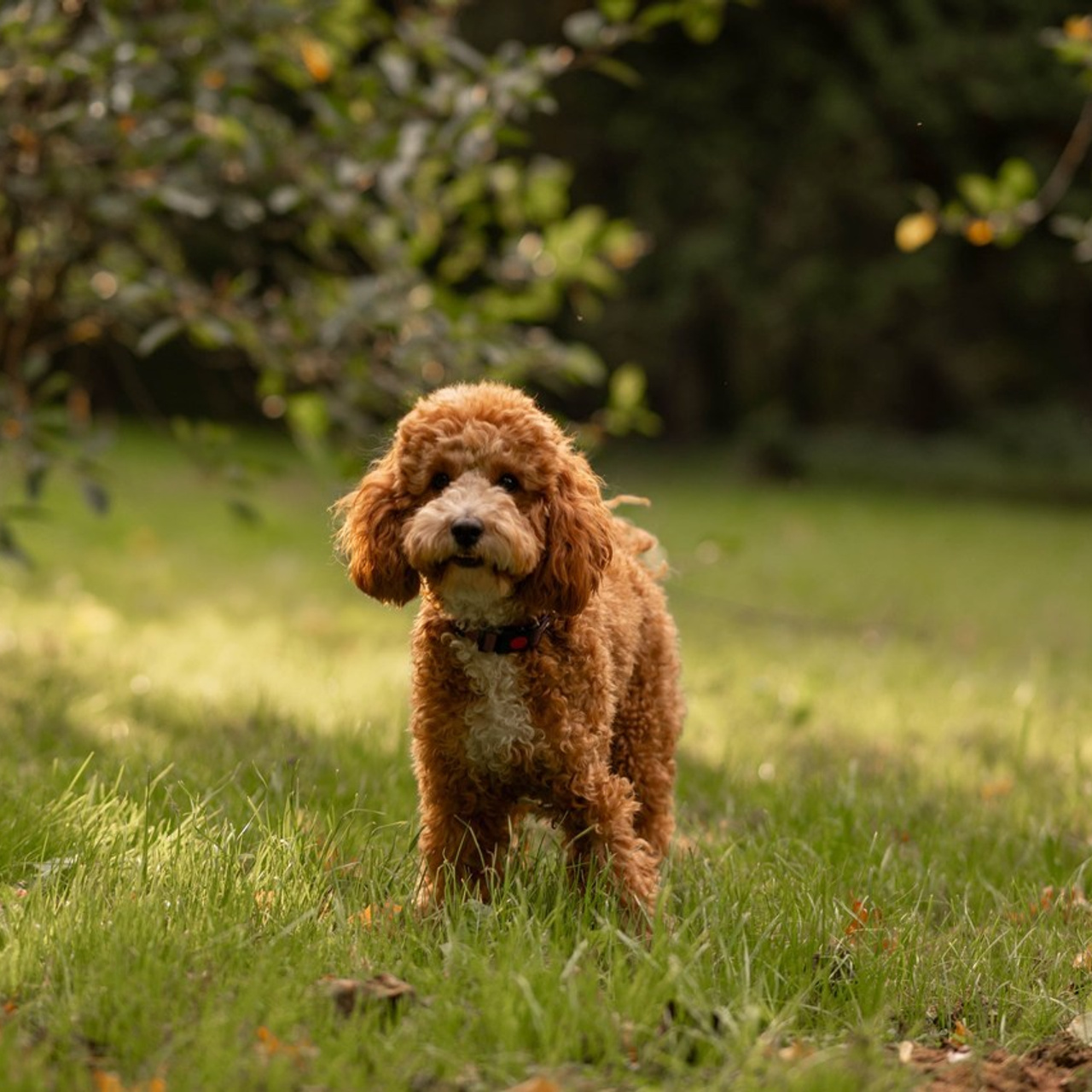 Отзывы о фотосессии