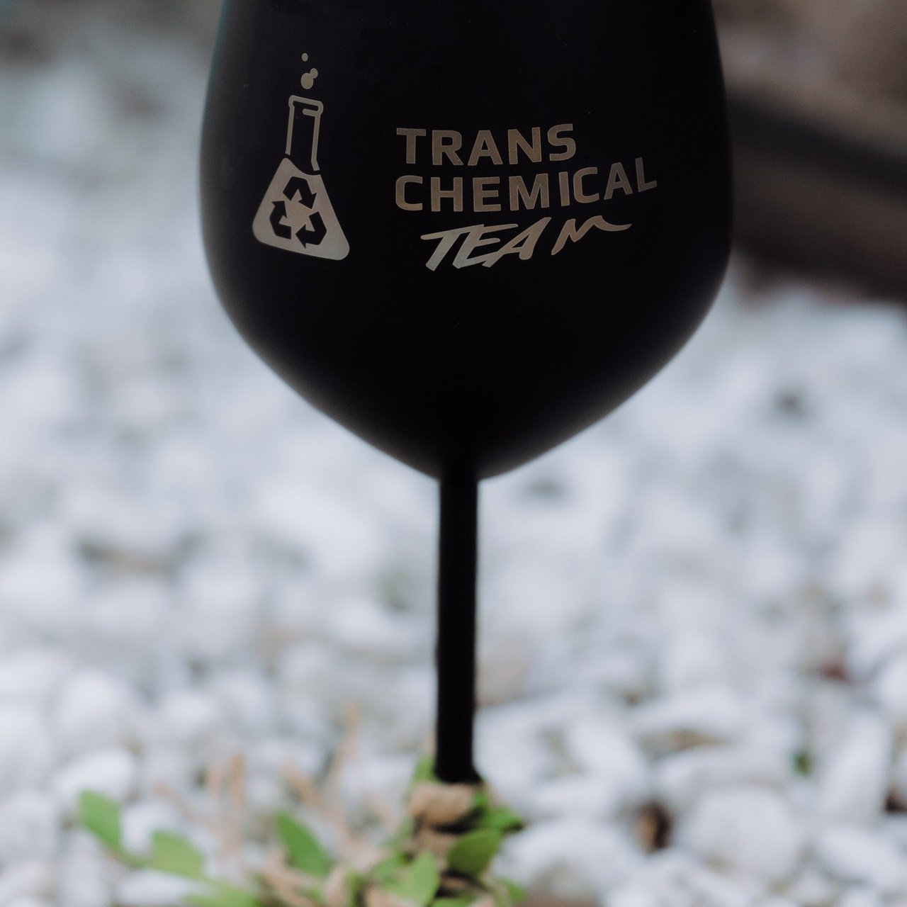 ОТЗЫВЫ. Фотограф Андрей Ширкалин Москва Московская обл, Коломна, Рязань