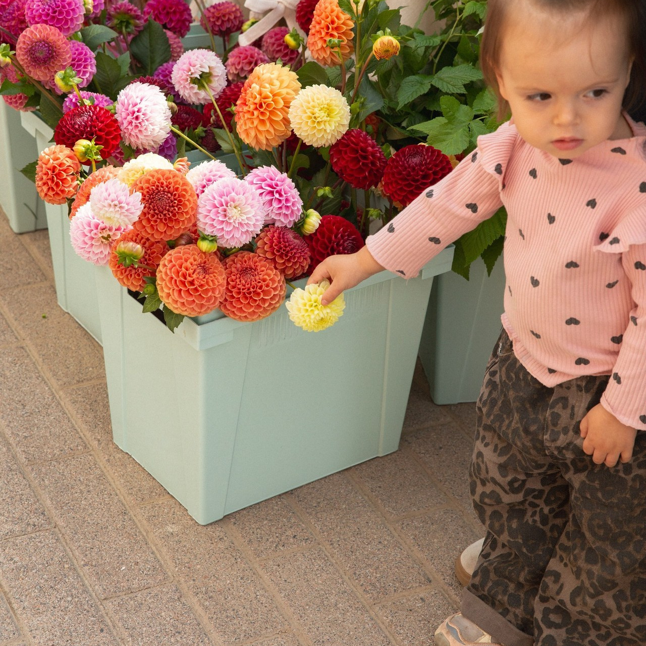 Отзывы. Фотограф в Москве Саша Кудрявая