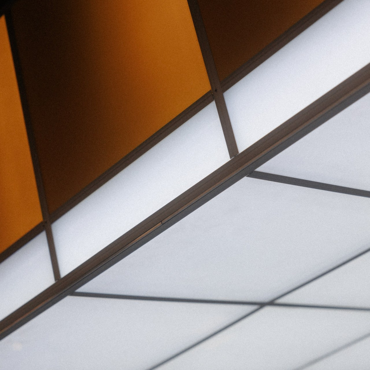 Отзывы. Фотограф Александр Тулупов