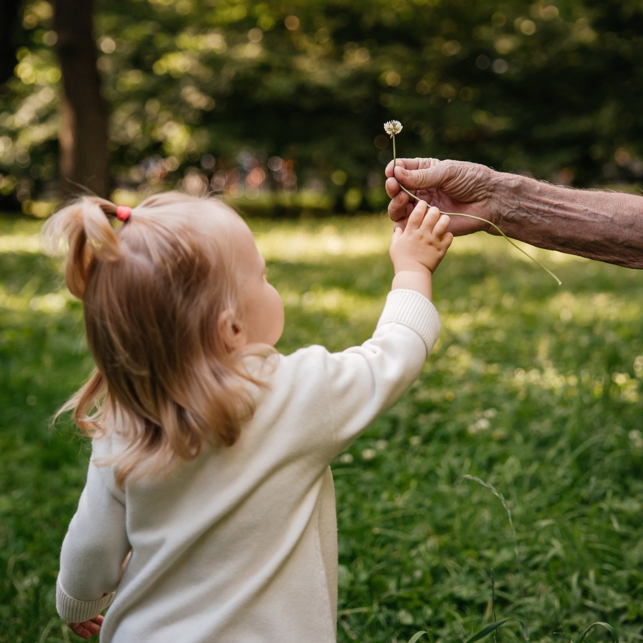 Отзывы. Фотограф Александра Короткова (Москва, Люберцы, Жуковский)