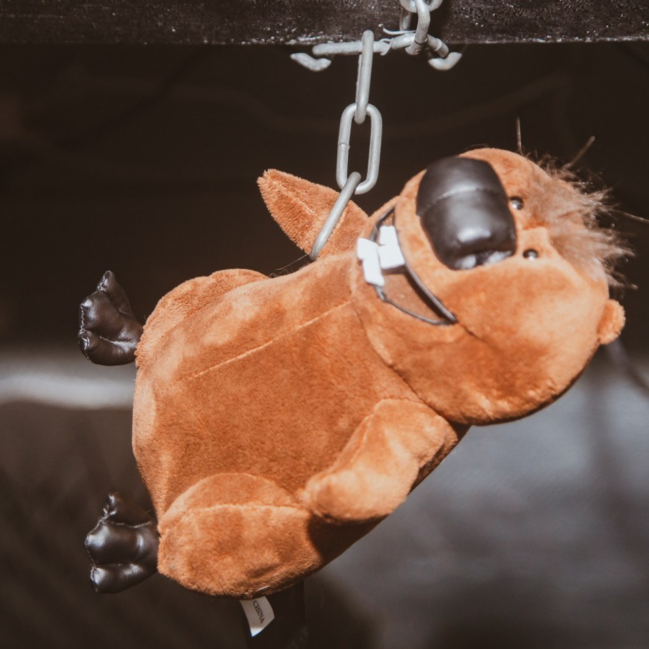 Отзывы. Фотограф Сергей Дорошенко