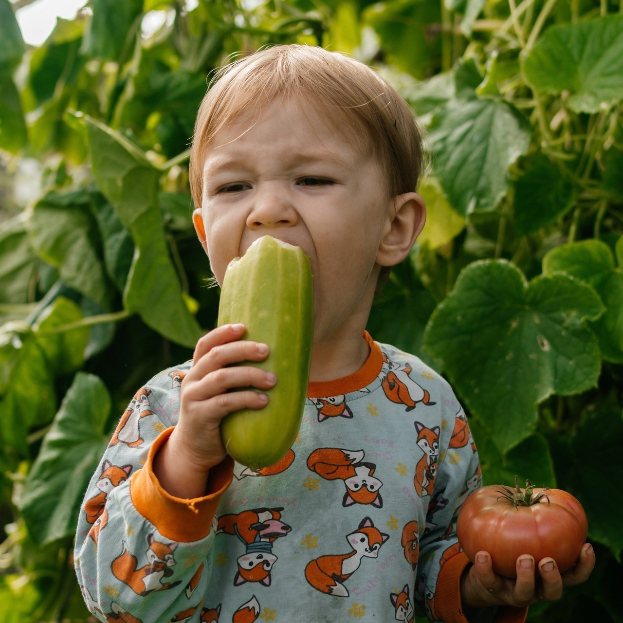 Отзывы. Фотограф в Томске Светлана Нестерова