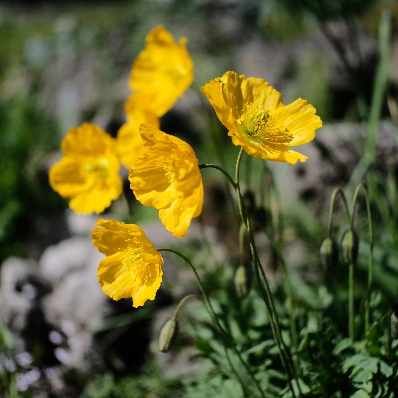 Отзывы. Фотограф Анна Кирнос